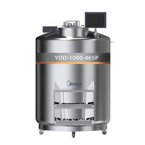 YDD-1000-465P Stainless Steel Liquid Nitrogen Tank