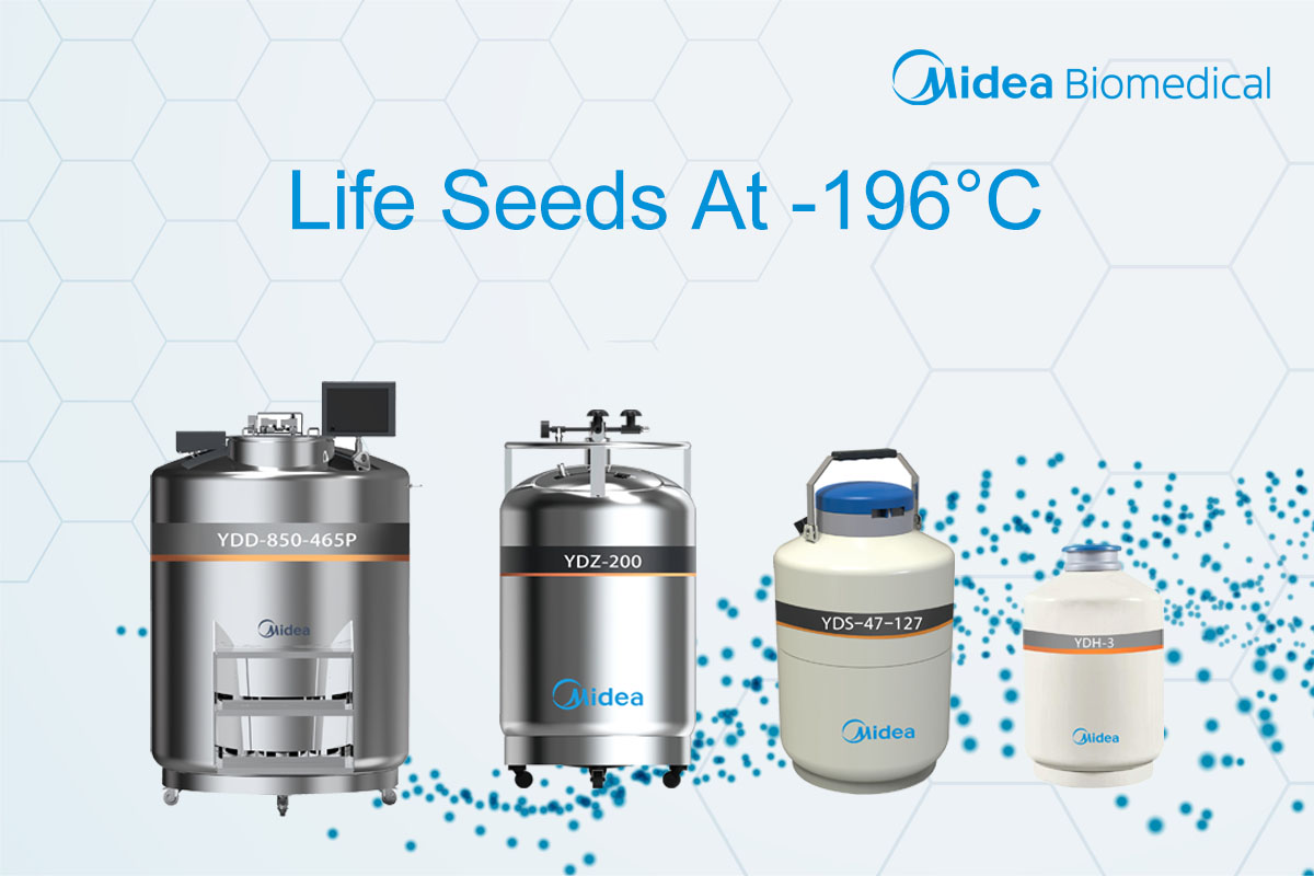 Exploring the "Seed Bank" of Life: Storing "Life Seeds" at -196°C with Liquid Nitrogen
